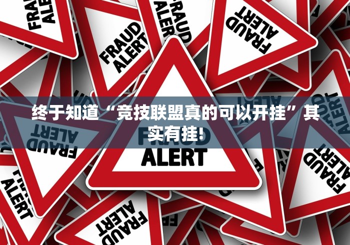 终于知道“竞技联盟真的可以开挂”其实有挂!