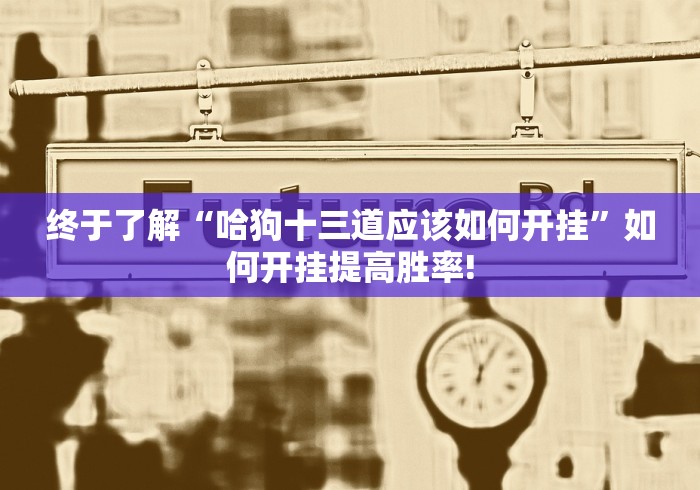终于了解“哈狗十三道应该如何开挂”如何开挂提高胜率! 终于了解“哈狗十三道应该如何开挂”如何开挂提高胜率!