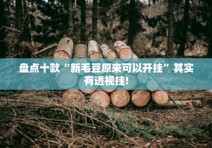 盘点十款“新毛豆原来可以开挂”其实有透视挂!