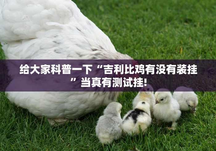 给大家科普一下“吉利比鸡有没有装挂”当真有测试挂!