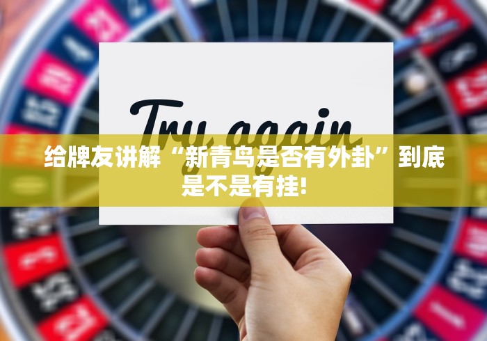 给牌友讲解“新青鸟是否有外卦”到底是不是有挂!
