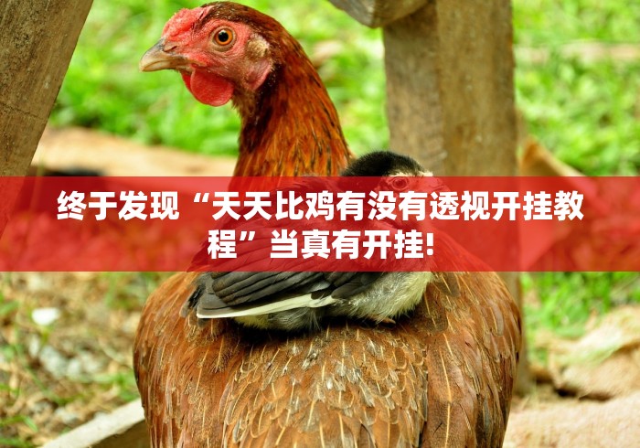 终于发现“天天比鸡有没有透视开挂教程”当真有开挂!