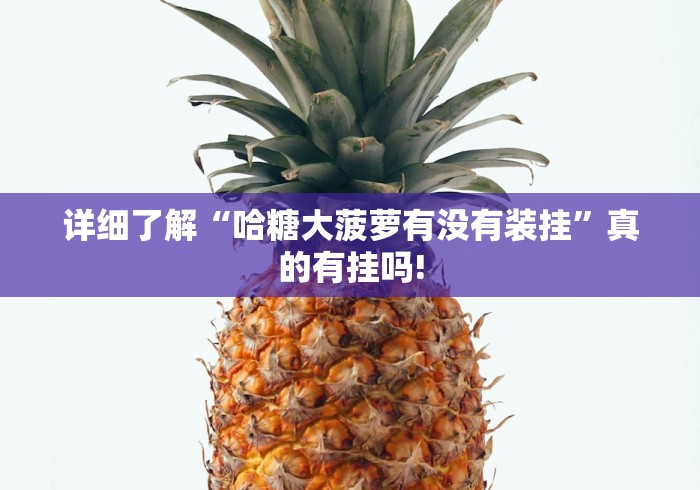 详细了解“哈糖大菠萝有没有装挂”真的有挂吗!