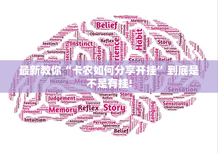 最新教你“卡农如何分享开挂”到底是不是有挂!