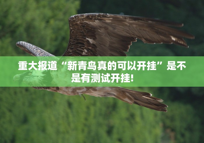 重大报道“新青鸟真的可以开挂”是不是有测试开挂! 重大报道“新青鸟真的可以开挂”是不是有测试开挂!