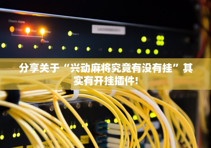 分分钟学会“嘟咪互动是否有开挂透视”原来有透视挂!