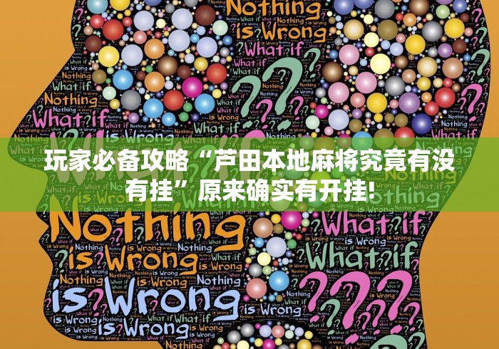 玩家必备攻略“芦田本地麻将究竟有没有挂”原来确实有开挂!