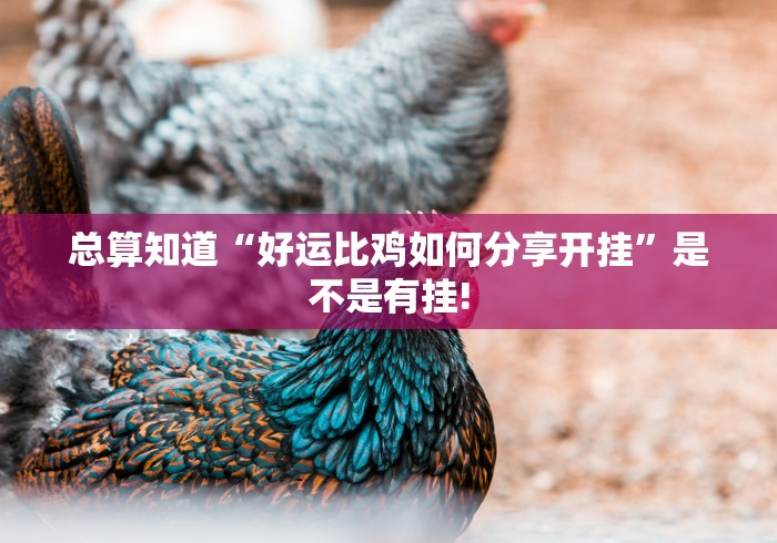 总算知道“好运比鸡如何分享开挂”是不是有挂!