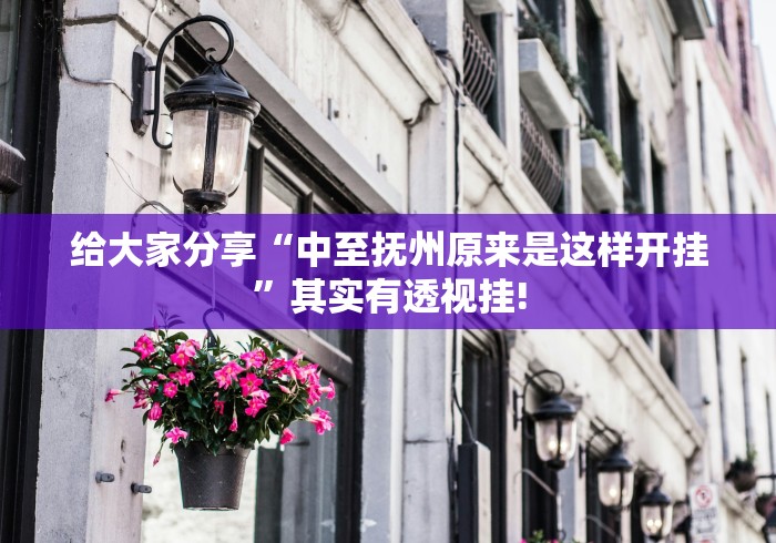 给大家分享“中至抚州原来是这样开挂”其实有透视挂!