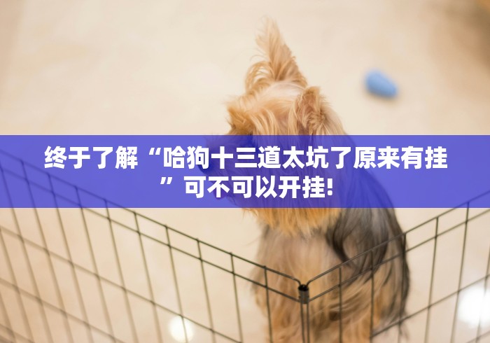 终于了解“哈狗十三道太坑了原来有挂”可不可以开挂!