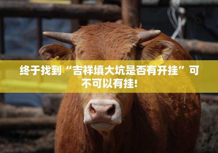 终于找到“吉祥填大坑是否有开挂”可不可以有挂! 终于找到“吉祥填大坑是否有开挂”可不可以有挂!