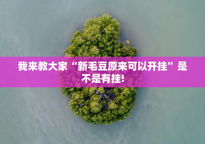 我来教大家“新毛豆原来可以开挂”是不是有挂!