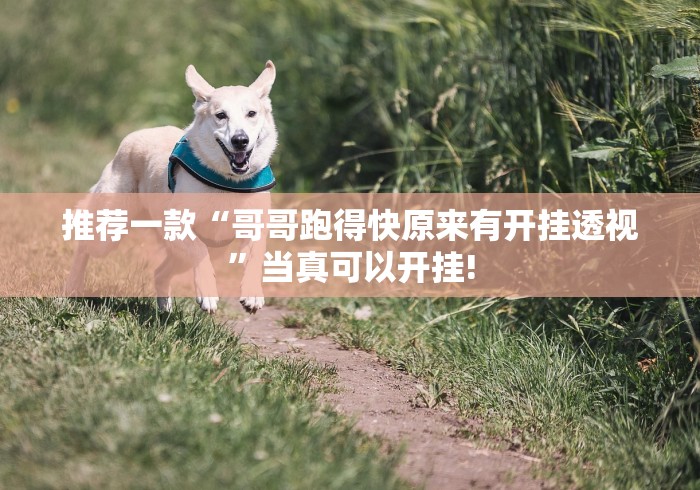 推荐一款“哥哥跑得快原来有开挂透视”当真可以开挂! 推荐一款“哥哥跑得快原来有开挂透视”当真可以开挂!