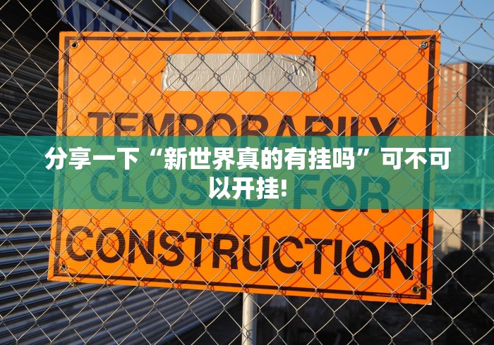 分享一下“新世界真的有挂吗”可不可以开挂!