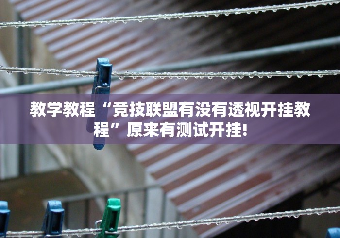 教学教程“竞技联盟有没有透视开挂教程”原来有测试开挂!