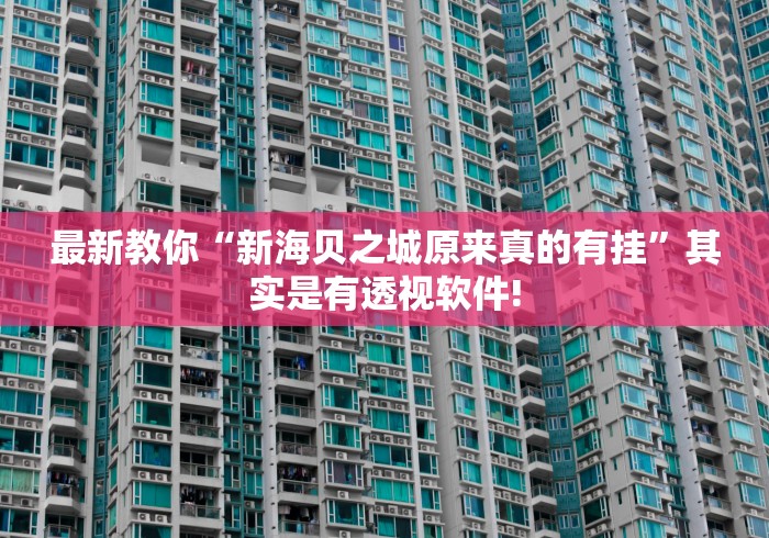 最新教你“新海贝之城原来真的有挂”其实是有透视软件!