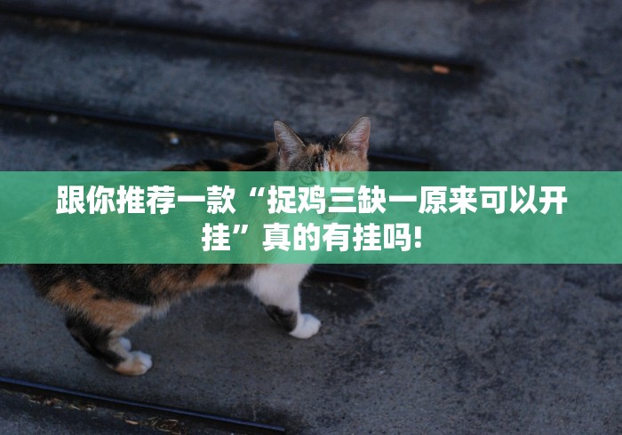 跟你推荐一款“捉鸡三缺一原来可以开挂”真的有挂吗!