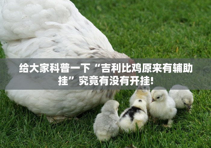 给大家科普一下“吉利比鸡原来有辅助挂”究竟有没有开挂!