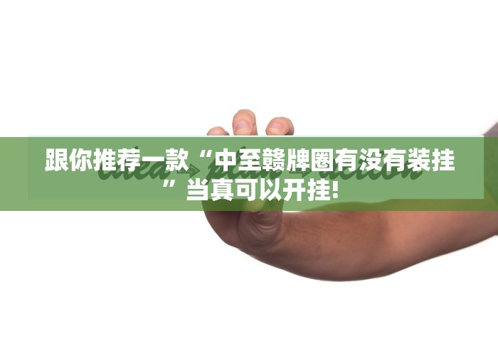 跟你推荐一款“中至赣牌圈有没有装挂”当真可以开挂!