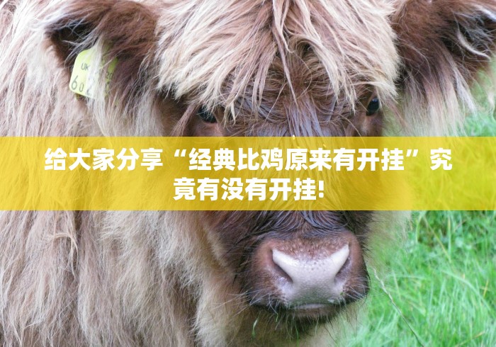 给大家分享“经典比鸡原来有开挂”究竟有没有开挂!