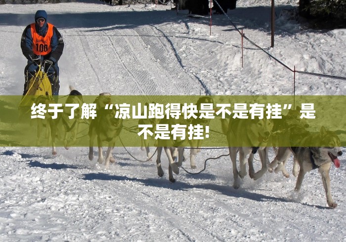 终于了解“凉山跑得快是不是有挂”是不是有挂!