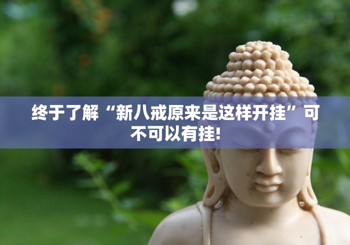 终于了解“新八戒原来是这样开挂”可不可以有挂!