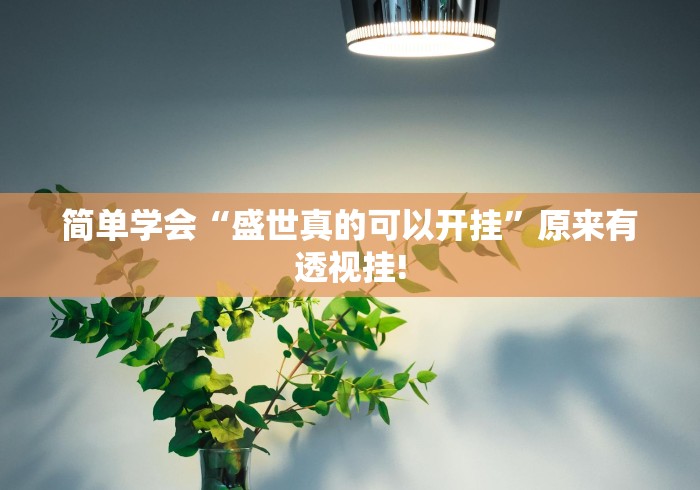 简单学会“盛世真的可以开挂”原来有透视挂!