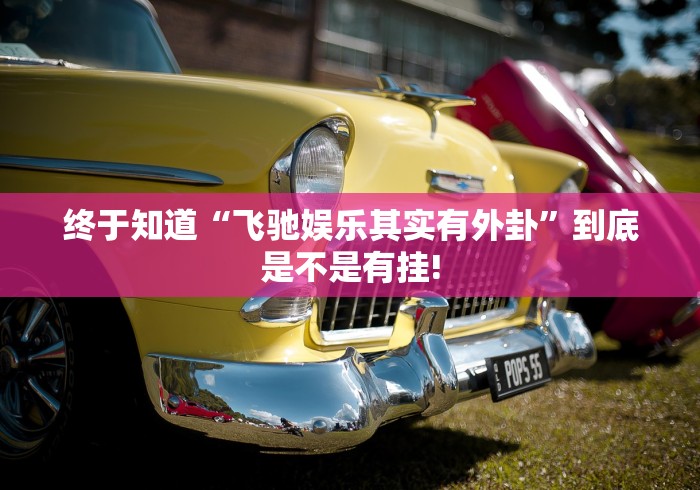 终于知道“飞驰娱乐其实有外卦”到底是不是有挂!