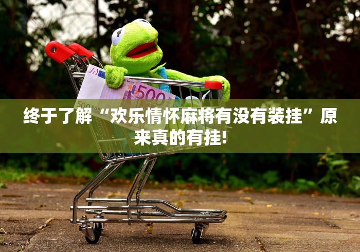 终于了解“欢乐情怀麻将有没有装挂”原来真的有挂!