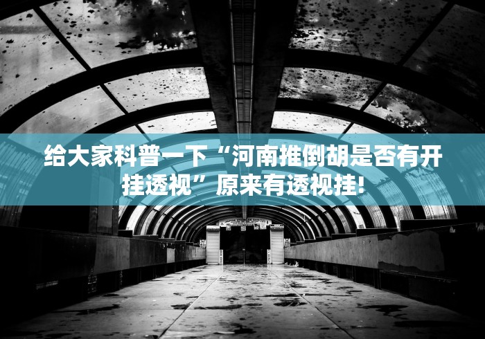 给大家科普一下“河南推倒胡是否有开挂透视”原来有透视挂!