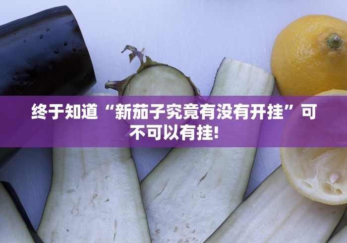 终于知道“新茄子究竟有没有开挂”可不可以有挂!