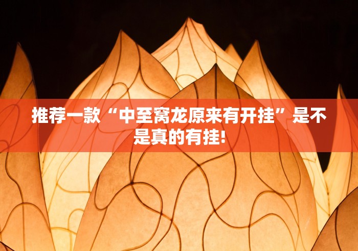 推荐一款“中至窝龙原来有开挂”是不是真的有挂!