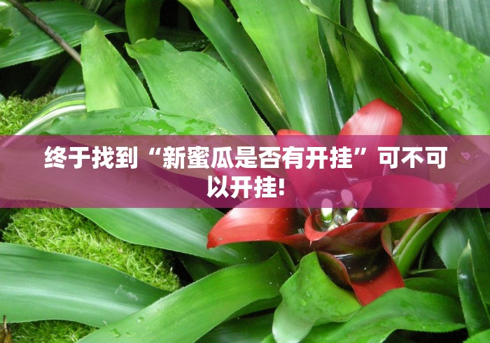 总算知道“全民比鸡真的有挂吗”是不是有测试开挂!