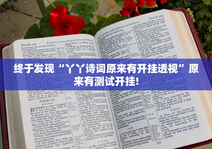 终于发现“丫丫诗词原来有开挂透视”原来有测试开挂!