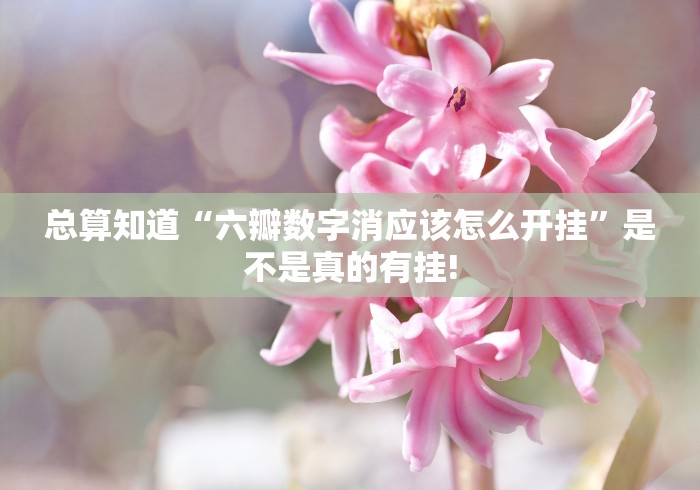 总算知道“六瓣数字消应该怎么开挂”是不是真的有挂!