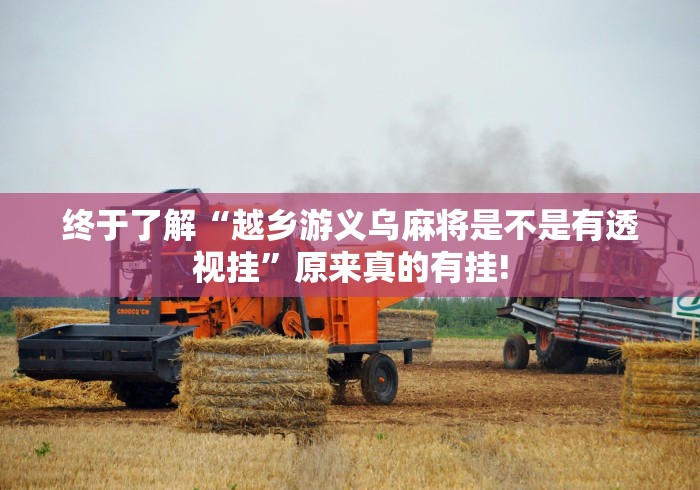 终于了解“越乡游义乌麻将是不是有透视挂”原来真的有挂!