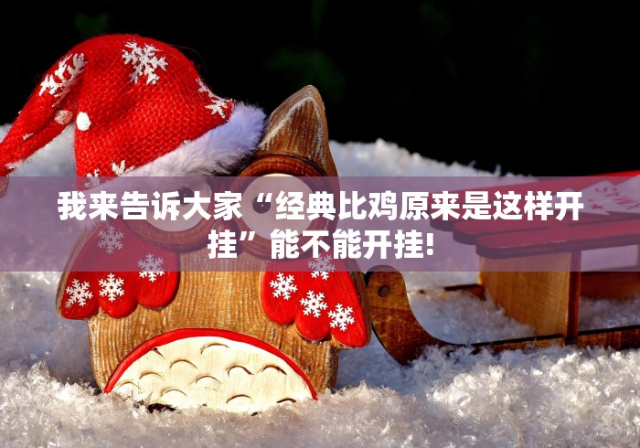 我来告诉大家“经典比鸡原来是这样开挂”能不能开挂!