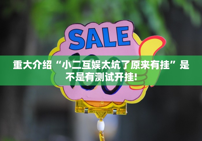 重大介绍“小二互娱太坑了原来有挂”是不是有测试开挂!