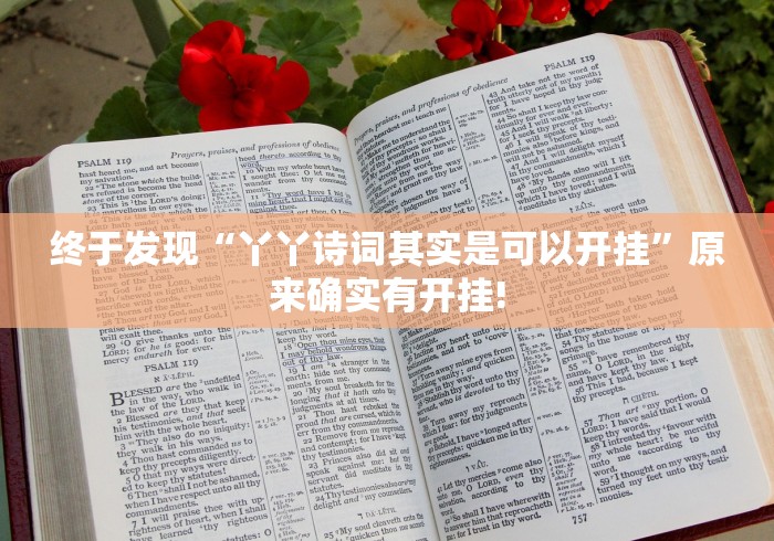 终于发现“丫丫诗词其实是可以开挂”原来确实有开挂!