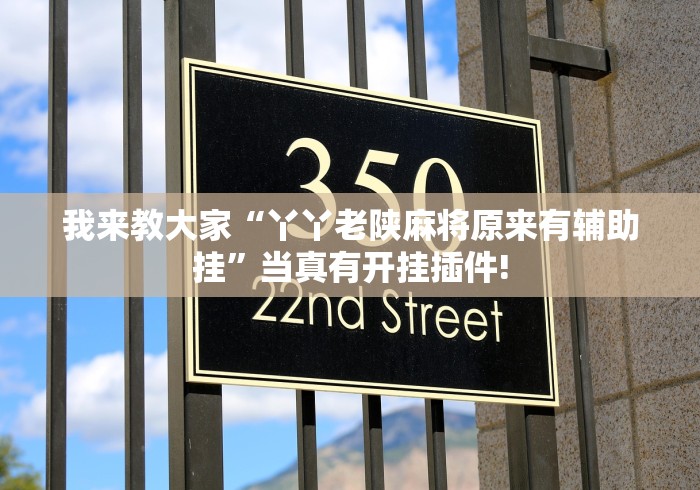 我来教大家“丫丫老陕麻将原来有辅助挂”当真有开挂插件!