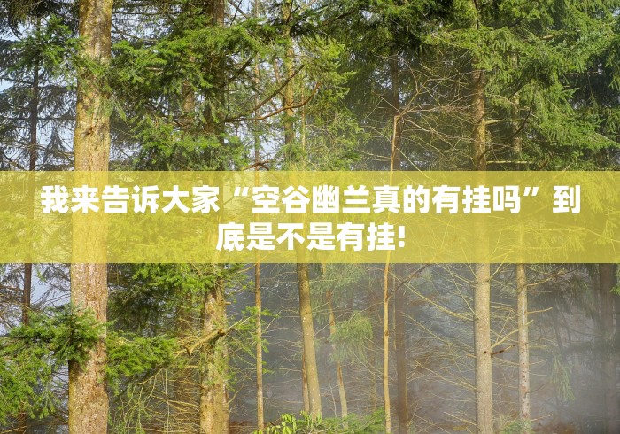 我来告诉大家“空谷幽兰真的有挂吗”到底是不是有挂!