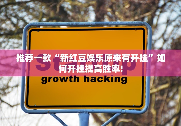 推荐一款“新红豆娱乐原来有开挂”如何开挂提高胜率!
