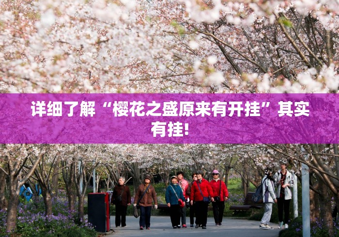 详细了解“樱花之盛原来有开挂”其实有挂!