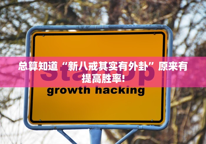 总算知道“新八戒其实有外卦”原来有提高胜率!