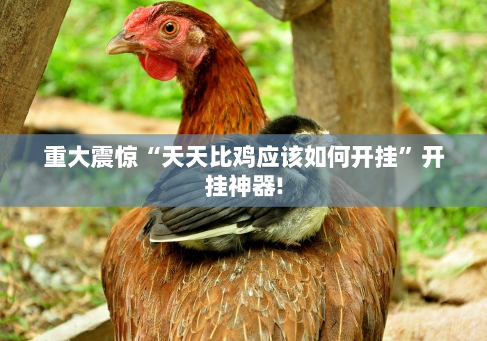 给大家分享“椰岛常胜麻将是不是有透视挂”原来有神器挂!