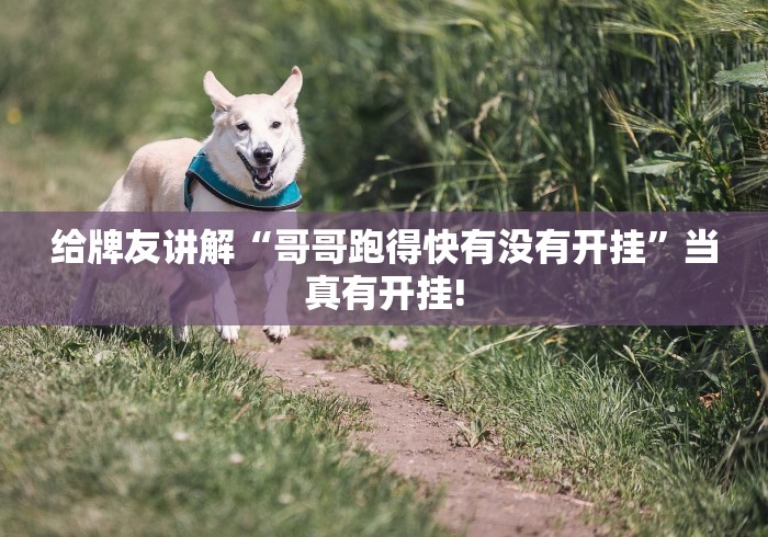 给牌友讲解“哥哥跑得快有没有开挂”当真有开挂!