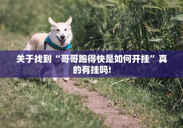 关于找到“哥哥跑得快是如何开挂”真的有挂吗!