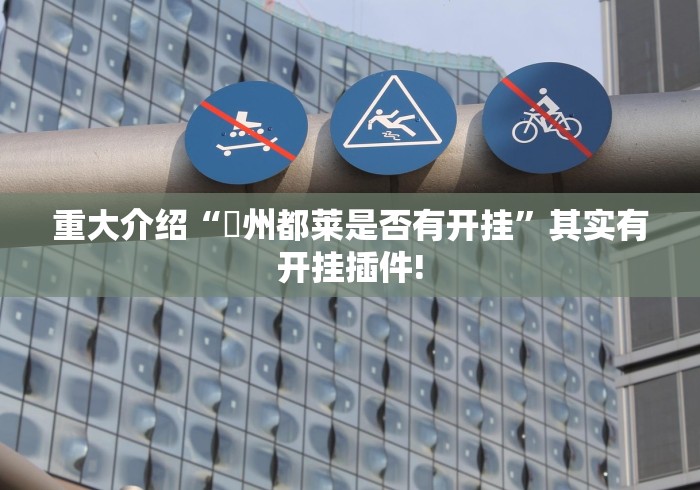 重大介绍“忂州都莱是否有开挂”其实有开挂插件!