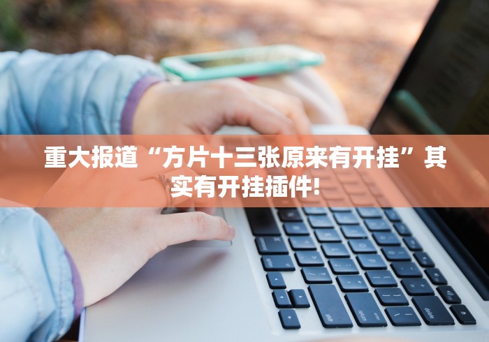 重大报道“方片十三张原来有开挂”其实有开挂插件!