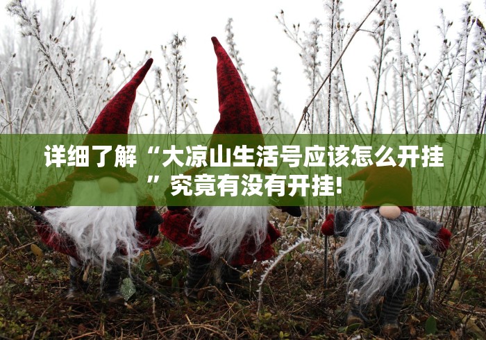 详细了解“大凉山生活号应该怎么开挂”究竟有没有开挂!